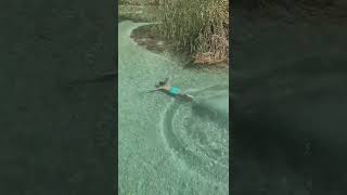 Crystal Clear Water Swimming