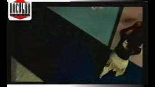 Watch Becca Come And Get My Love video