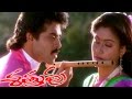 Amma Sampangi Video Song || Shatruvu Movie || Venkatesh, VijayaShanthi
