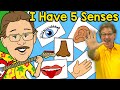 I Have Five Senses  Jack Hartmann Senses Song