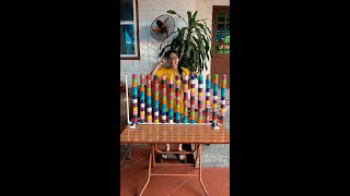 Puzzle Sort Ball Game Challenge Casual Fun