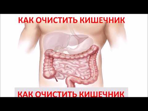 Чистка жкт в домашних условиях Чистка жкт в домашних условиях