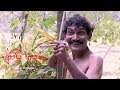 Supiri Hapana (සුපිරි හපනා) Sinhala Movie