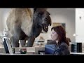 Hump Day Birthday Camel images Hump Day Birthday Camel