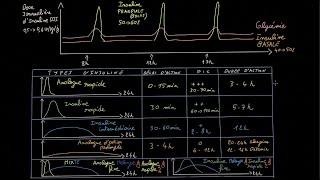 Instaurer Linsuline En 5 Étapes - Partie 1 - Docteur Synapse