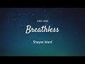Breathless - Shayne Ward - Lyrics Video