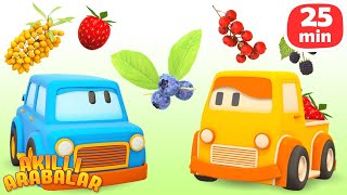 Çizgi film - Akıllı Arabalar! Meyveler ve Sebzeler! Bebekler için seçkin bölümle