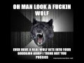 Eight Minutes of Insanity Wolf