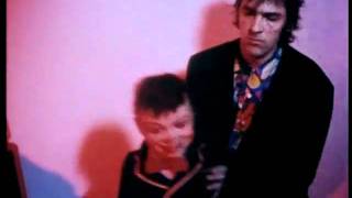 Watch Robyn Hitchcock Beautiful Girl video