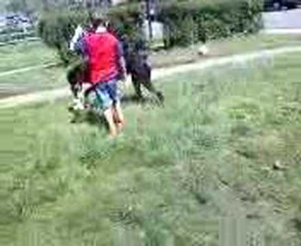 rottweiler attacks child rottweiler attacks child rottweiler attacks child rottweiler attacks child