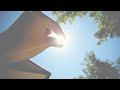 Is Vitamin D3 Better Than D2?