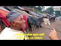 Raute people in Nepal राउटेहरुको बसोवास र जीवनशैली