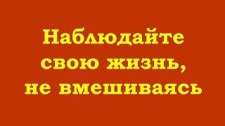 Наблюдайте Свою Жизнь, Не Вмешиваясь