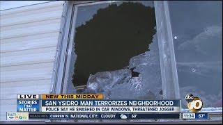 San Ysidro Man Terrorizes Neighborhood