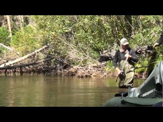 Видео о рыбалке №470