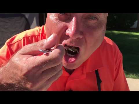 VIDEO : how to make the world’s best chicken bog! - learn how to make fantastic carolina low countrylearn how to make fantastic carolina low countrychicken bog. with the carolina campers. ...