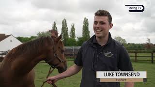 This Racing Life - Stradivarius, The National Stud And Rab Havlin - Racing Tv