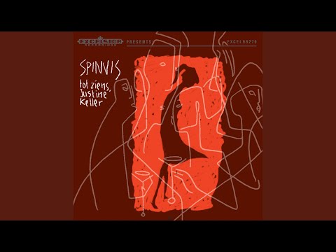 Spinvis - We Vieren Het Toch