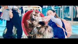 Cat & Dog – The Great Crossing / Chien et chat (2024 - Trailer (English Subs))