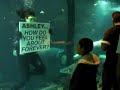 Mike Logan's Proposal to Ashley Gibson at the Dallas World Aquarium. Outcome: yes.