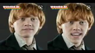 Ron Weasley Singing Numa Numa Maya E Maya O And Who Let The Dogs Out