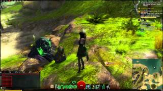 Guild Wars 2 Lich Form Bug