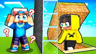 Noob Vs Pro Vs Hacker En Gizli Sığınağı Kim Yapacak? Minecraft
