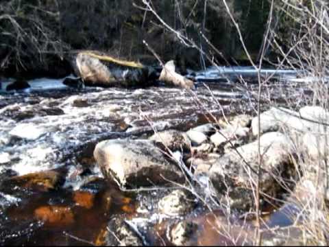 природа амура видео природа амура видео