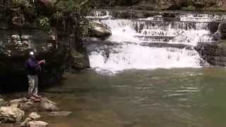 Trout Fishing West Virginia's Camp Creek