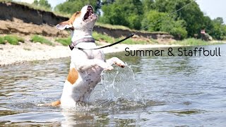Summer & Staffbull