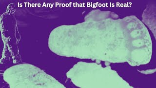 Bigfoot'un Gerçek Olduğuna Dair Kanıt Var mı?