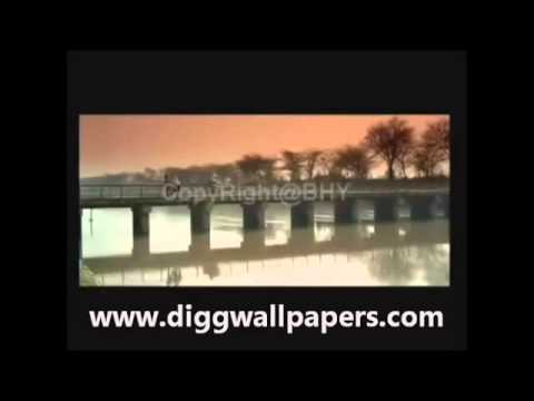 bol songs dil janiya