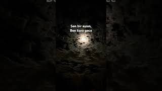 Sen Bir Ayısın
