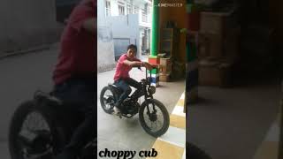 Choopy Cub