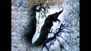 Watch Borknagar The Dawn Of The End video