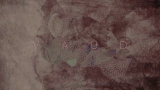 Johan Allerfeldt - V A U D