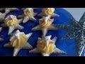Stelline Golose di Pasta Sfoglia