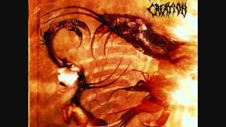 Watch Malevolent Creation Seizure video
