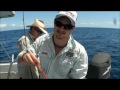 Jigging