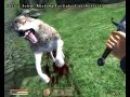 The Elder Scrolls IV: Oblivion - Gameplay Footage