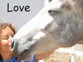 Love - Son & Daughter ecards - Family Greeting Cards Love - Son & Daughter ecards - Family Greeting Cards