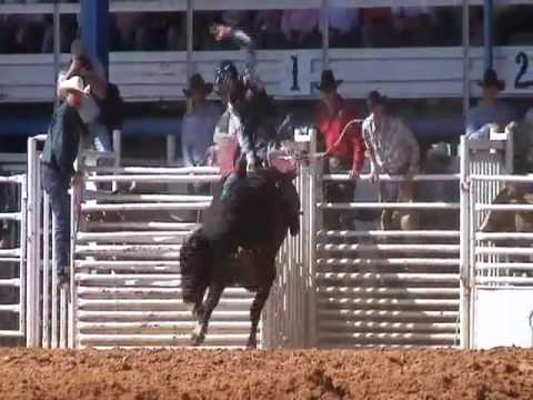 Auto Horse Racing Rodeo Bull Riding on Arcadia Rodeo Bull Riding Mutton Busting Barrel Racing   More