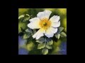 Rachel McNaughton ~ Spring Song (Mendelssohn)