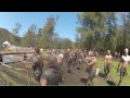 Getting shocked and screaming like a little girl - Electric Eel Tough Mudder Sydney 2012