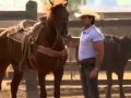 Soy tu Dueña - Golondrinas Viajeras Soy tu Dueña - Golondrinas Viajeras