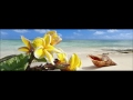 TRIO INFERNAL - Should I Leave; Say You Say Me; Black Rose [Tahiti Vol1]