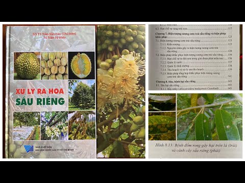 Sách/Giáo Trình XỬ LÝ RA HOA SẦU RIÊNG của GS. TS Trần Văn Hâu