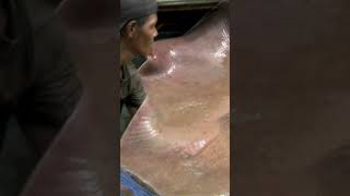 Jeremy Wade Catches 400-Pound Giant Freshwater Stingray River Monsters Animal Planet