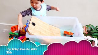 Cars, Trucks, Penguins and Other Toys Going Down the Water Slide! | Playing Toys in the Sunshine |