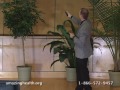 313 - Initiating True Speed Healing / Removing the Mystery Behind Disease - Rudy and Jeanie Davis